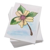 Watercolor Paper, 4-1/2” x 6-1/4” (Pack of 50)