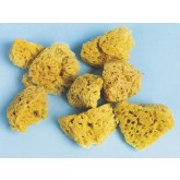 Sea Sponges (Pack of 8)