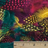 Color Splash!® Spotted Feather Assortment