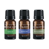 SpaRoom® Essential Oils: Vitality Pack (Pack of 3)