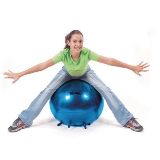 where can i buy a stability ball