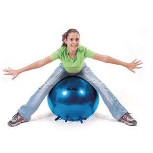 where to buy stability ball