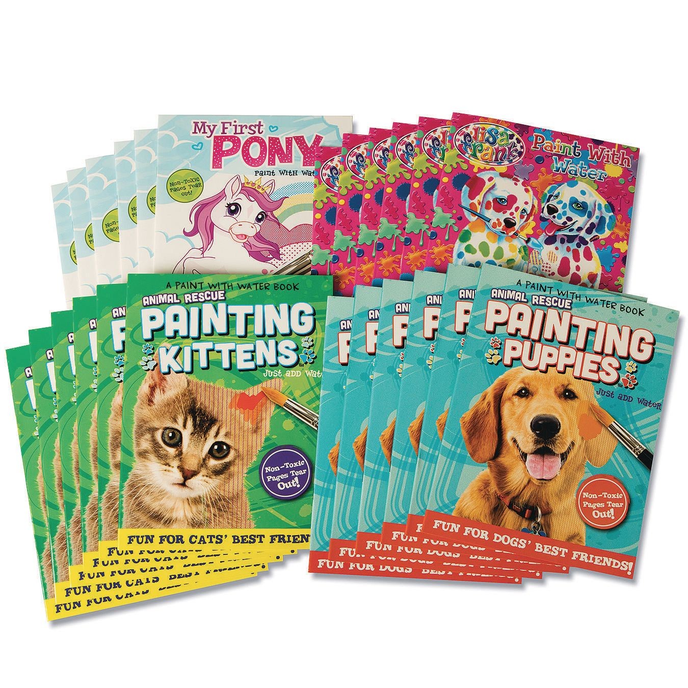 Buy Paint with Water Activity Books Value Pack (Pack of 24) at S&S Worldwide