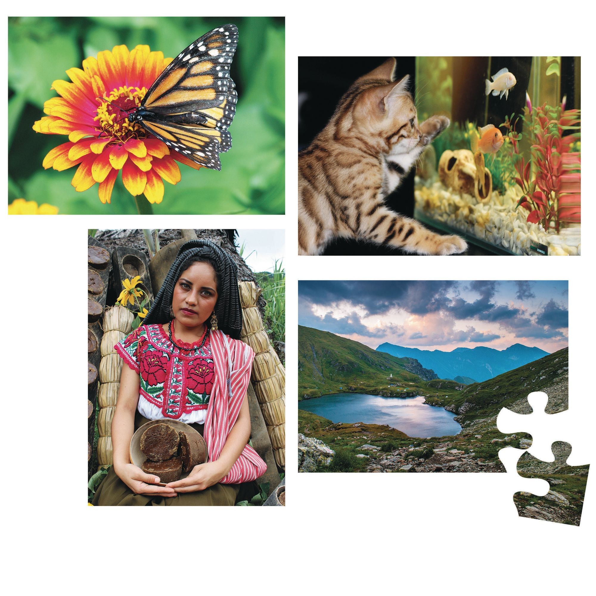 Buy E-Z™ 12-Piece Puzzle Set A at S&S Worldwide