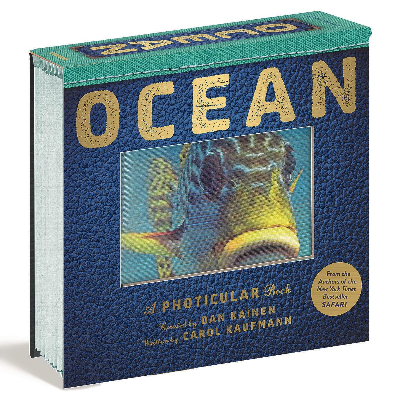 Buy Ocean: A Photicular Book at Su0026S Worldwide