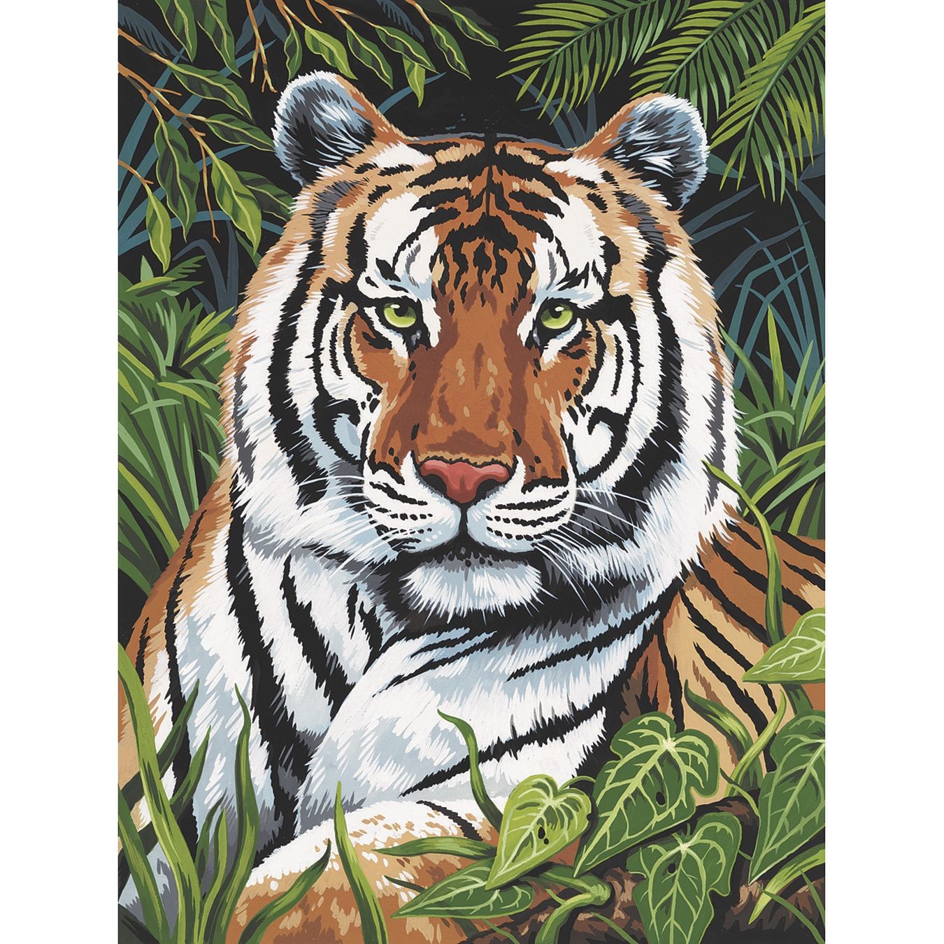 Buy Tiger Paint By Number at S&S Worldwide