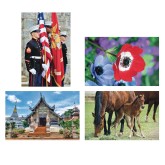 Thera-Jigsaw™ Foam Puzzles Set: Temple, Horses, Military, and Poppy (Set of 4)