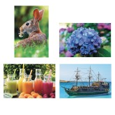 Thera-Jigsaw™ Foam Puzzles Set: Boat, Rabbit, Juice, and Hydrangea (Set of 4)