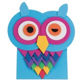 Winking Owl Craft Kit (Pack of 12)