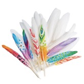 Color Splash!® Duck Quill Feathers, White