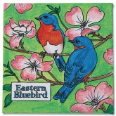 Eastern Bluebird Paintings (Pack of 12)