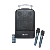 Portable PA System with Microphones