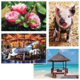Thera-Jigsaw™ Foam Puzzles Set: Carousel Horse, Piglet, Pink Roses, and Beach Hut (Set of 4)