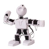JD Humanoid Robot
