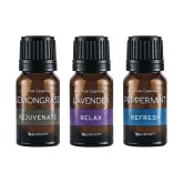 SpaRoom® Essential Oils: Classic Pack (Pack of 3)