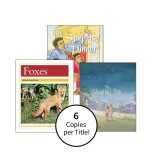Rigby PM Collection Story & Nonfiction Books -Class Pack By Level