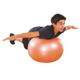 Exercise and Therapy Ball