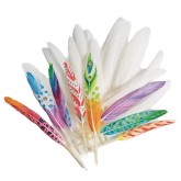 Color Splash!® Duck Quill Feathers, White