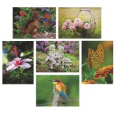 S&S® Aquapaintings™ In The Garden (Pack of 12)