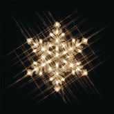 Light-Up Snowflake