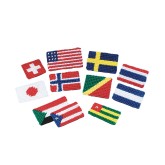 Allen Diagnostic Module Needlepoint Flag Magnets (Pack of 24)