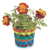 EduCraft® Authentic Flower Garden Craft Kit (Pack of 50)