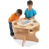 Science Activity Table