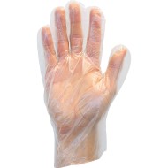 Disposable Gloves, Large (Box of 100)