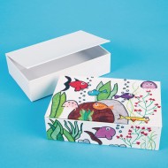 Color-Me™ Boxes (Pack of 12)