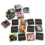 Puppies And Kittens Memory Match Game