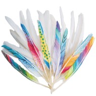 Color Splash!® Long Quill Feathers, White
