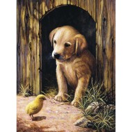 Labrador Puppy Paint By Number