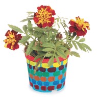 EduCraft® Authentic Flower Garden Craft Kit (Pack of 50)