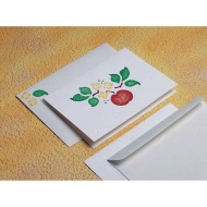 Allen Diagnostic Module Greeting Cards (Pack of 12)