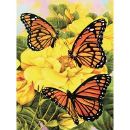 Monarch Butterflies Paint By Number
