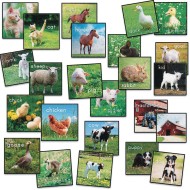 Flagship Carpets® PhotoFun™ Barn Animals Stow-n-Go Seating Squares
