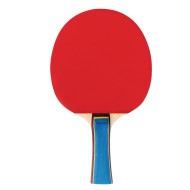 Pro Table Tennis Paddle