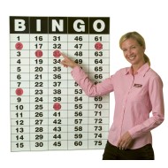 Bingo Masterboard Poster and Static Cling Chips Set