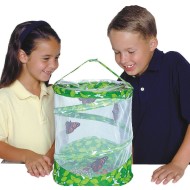 Insect Lore Butterfly Garden - Butterfly Growing Kit - With Voucher to Redeem Caterpillars Later