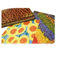 Patterned Paper Class Pack