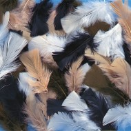 Color Splash!® Natural Fluff Feather Assortment