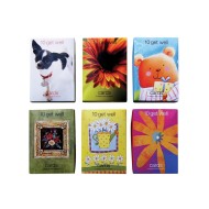 Get Well Value Greeting Cards (12 boxes of 10 cards)