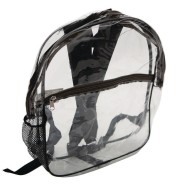 Clear Front Backpack, 15