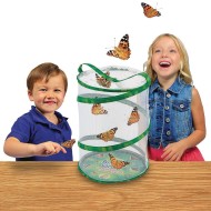 Butterfly Garden Growing Kit - Includes Caterpillar Voucher