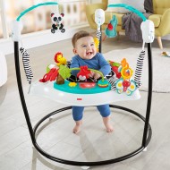 Fisher Price Jumperoo Baby Bouncer