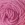 Light Rose
