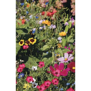 Assorted Flower, Herb, or Vegetable Garden Seed Mix for Planting and Growing, Wildflower