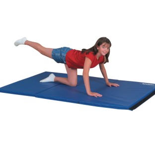 Buy S S Instructor Mat 4 X 6 At S S Worldwide