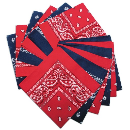 Buy Western Style Paisley Bandanas, Classic Red & Blue Colors (Pack of 12)  at S&S Worldwide