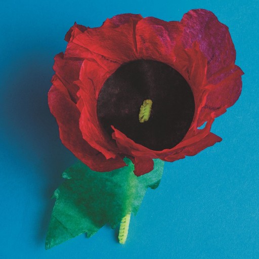 Shop Streamers – Poppies for Grace